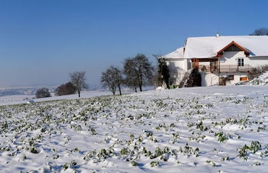 Geinberg Suites & Vianova Lodges - Foto 72