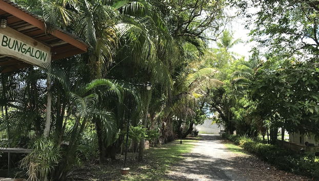 Entrada (vista interior)