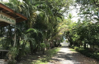 Photo 2 - Coconut Bungalow