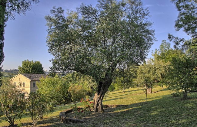 Belvilla by Oyo Cottage Della Musica - Foto 56