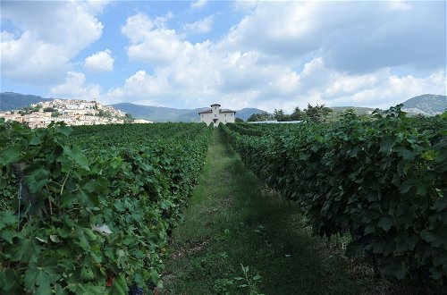 Foto 16 - Cincinnato Wine Resort