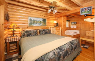 Photo 3 - Smoky Cascades - One Bedroom Cabin