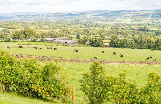 Valley View Luxury Lodges Gamekeepers 4 Bedroomed - Foto 19