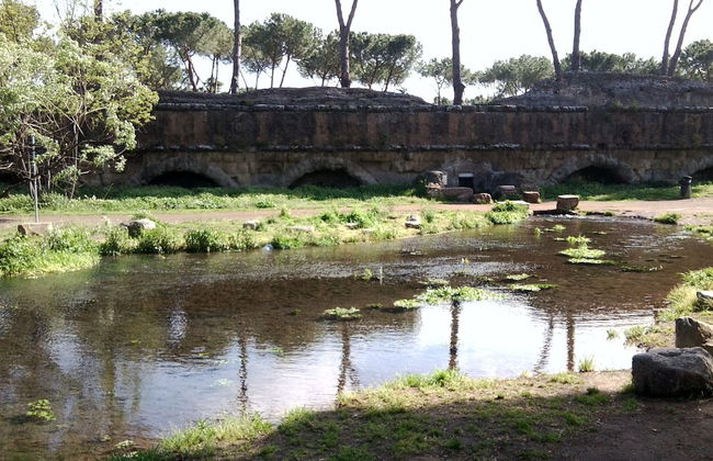 Il Pozzo - Foto 7