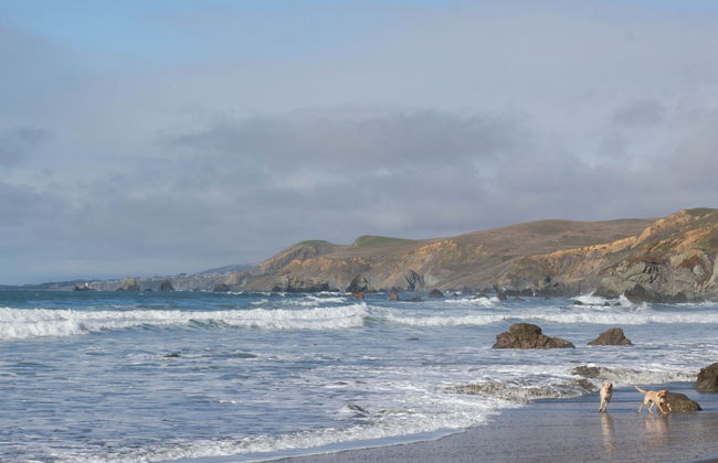 Dillon Beach Resort - Foto 34