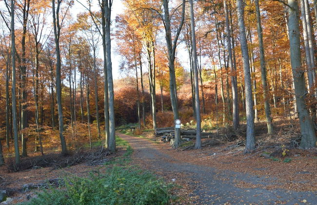 Private Mountain Lodge, Bad Ems - Foto 36