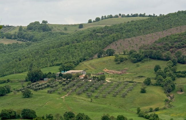Poggio Al Vento - Foto 44