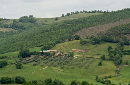 Photo 43 - Poggio Al Vento