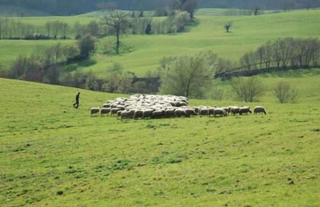 Poggio Al Vento - Foto 27
