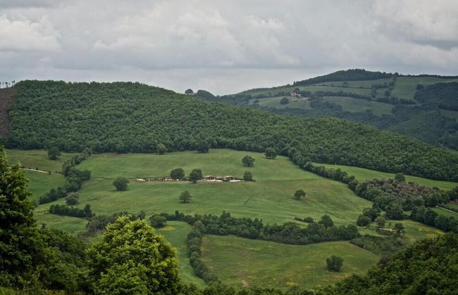Poggio Al Vento - Foto 17