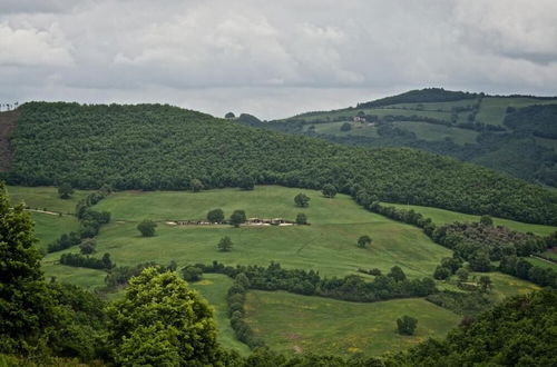 Photo 17 - Poggio Al Vento