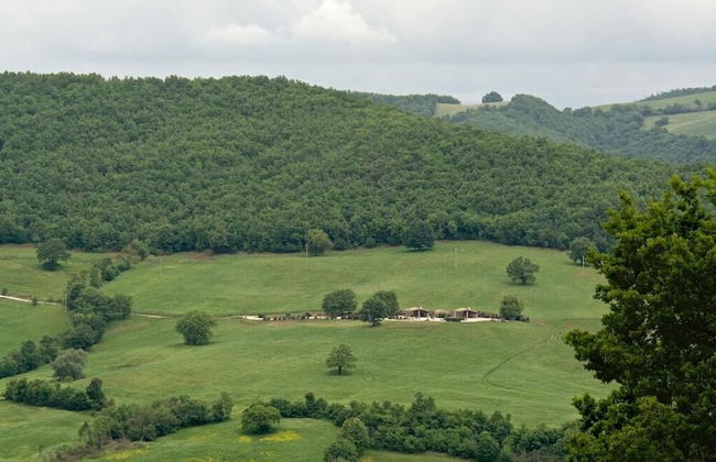 Poggio Al Vento - Foto 18