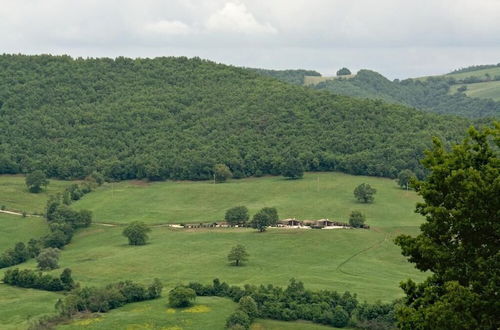 Foto 18 - Poggio Al Vento