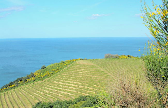 Beautiful Stay in Tavullia - Photo 37
