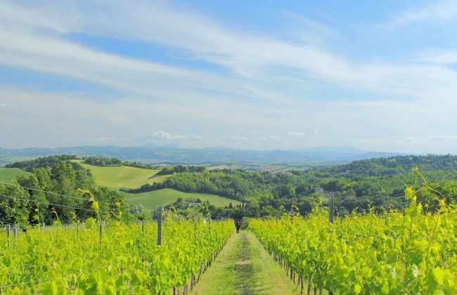 Beautiful Stay in Tavullia - Photo 34