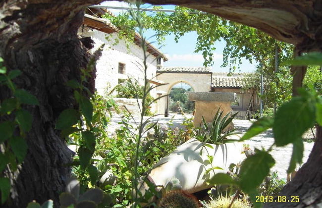 Le due Palme - Il Paradiso di Adamo - Foto 41