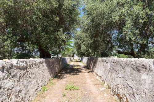 Foto 72 - Masseria Il Roseto ai Cappuccini