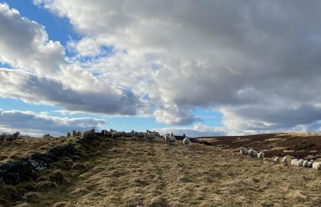 Traditional Bothy Accommodation - Foto 8