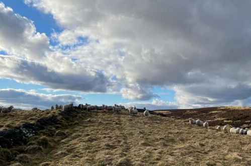 Photo 8 - Traditional Bothy Accommodation