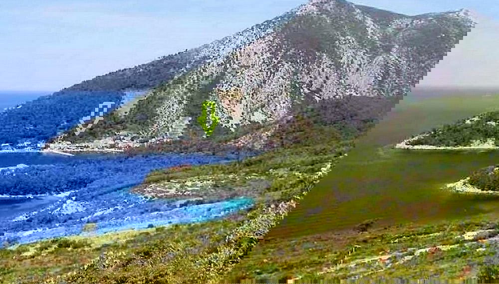 Imagem principal