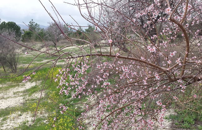 Vouni Lodge - Foto 9