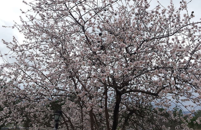 Vouni Lodge - Foto 8