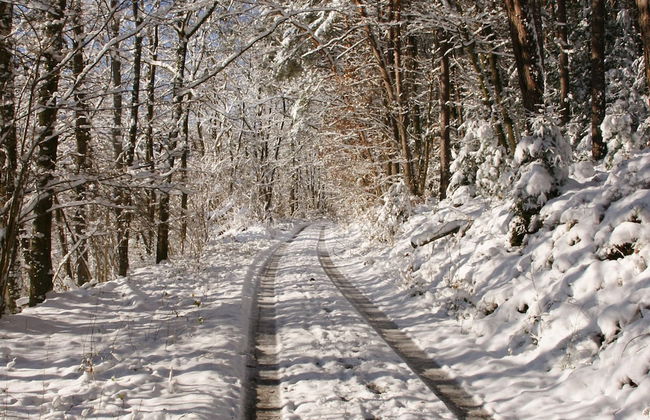 Ruckzugsort in Mossautal-huttenthal - Foto 28