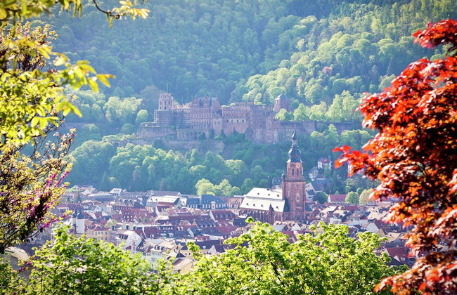 Ruckzugsort in Mossautal-huttenthal - Foto 37