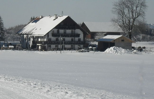 Hauserwirt - Foto 1