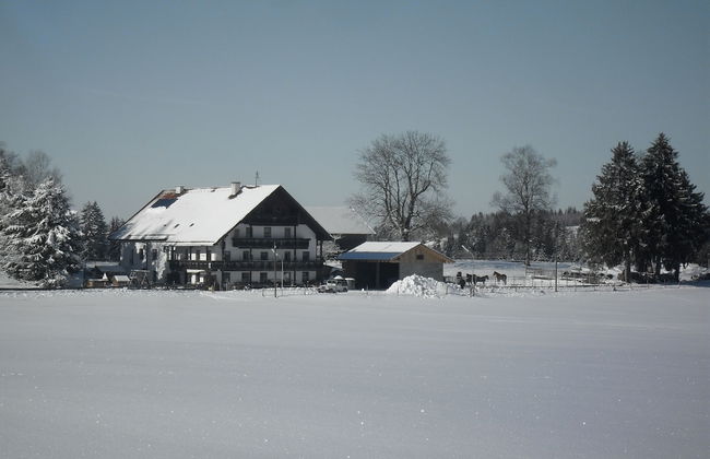 Hauserwirt - Foto 19