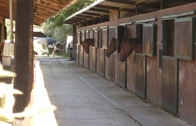 Relais Magione Papale - Foto 49