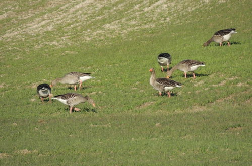 Photo 35 - Mirador Ardea Mendixur