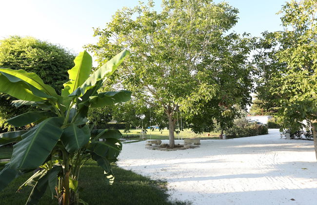Podere 43 - Foto 48