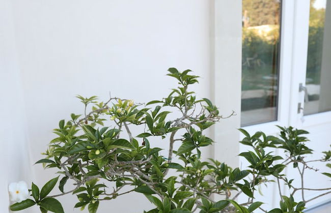 Podere 43 - Foto 47