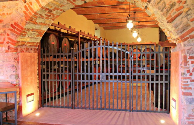 Castello di Volognano - Foto 66