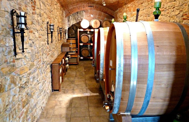 Castello di Volognano - Foto 69