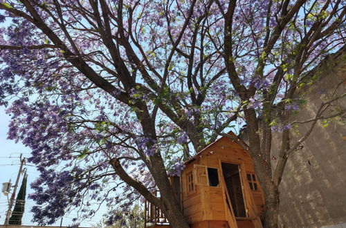 Photo 12 - Hermosa casa con jardin y alberca