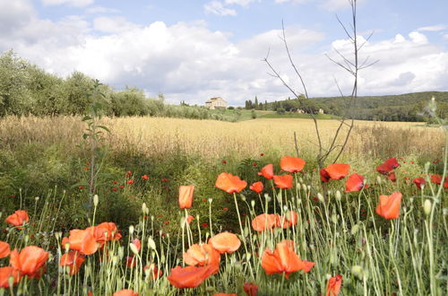 Photo 21 - Apartment Immersed in the Green of the Maremma