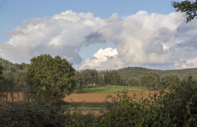 Apartment Immersed in the Green of the Maremma - Foto 9