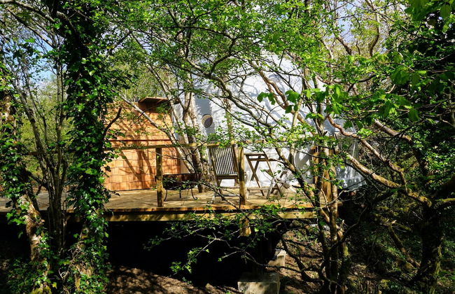 Fernwood - Foto 68