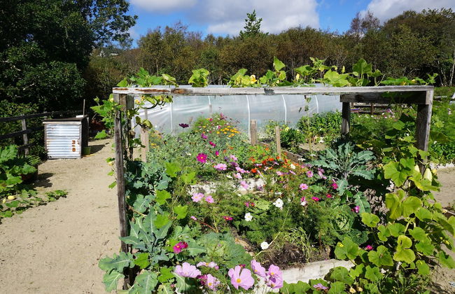 Fernwood - Foto 51