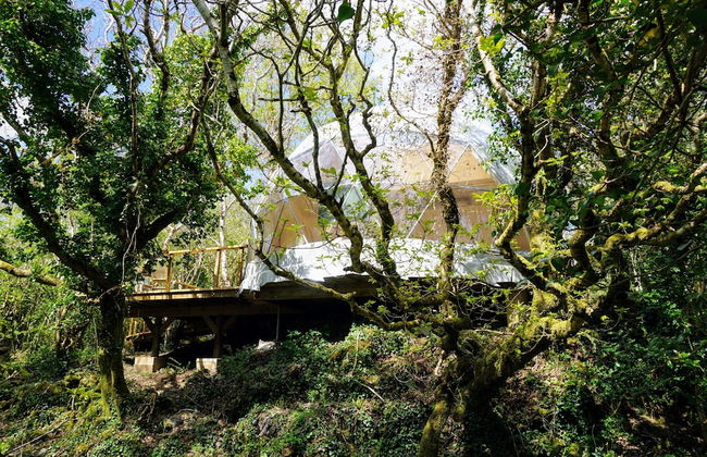 Fernwood - Foto 67