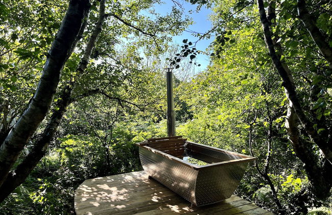 Fernwood - Foto 9