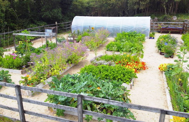 Fernwood - Foto 39