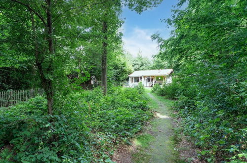 Photo 3 - Picturesque Cottage on Park Hunzebergen