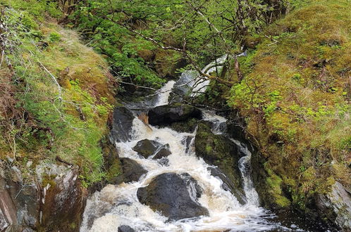 Photo 10 - Loch Awe Luxury Eco Cabins