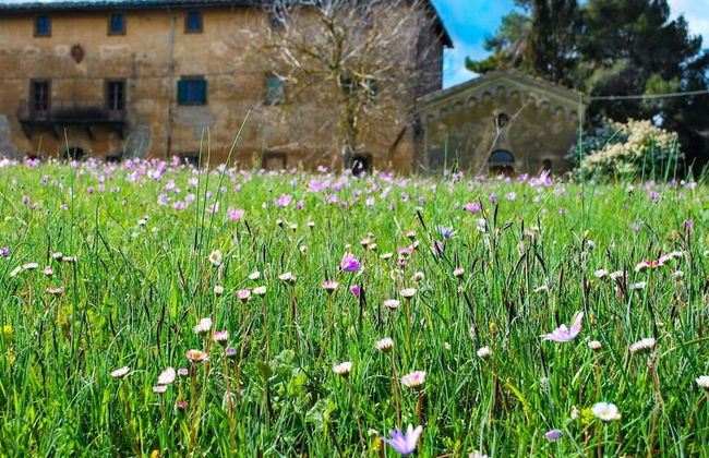Family Villa Pool in Volterra - Foto 24