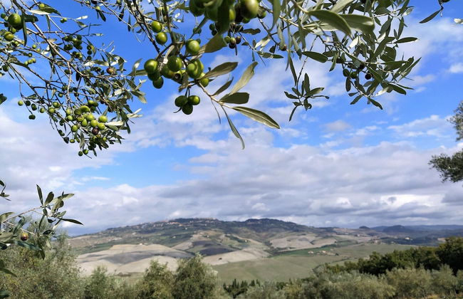 Family Villa Pool in Volterra - Foto 33