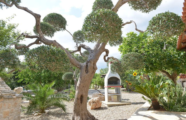 Masseria Pentima Vetrana Resort - Foto 34