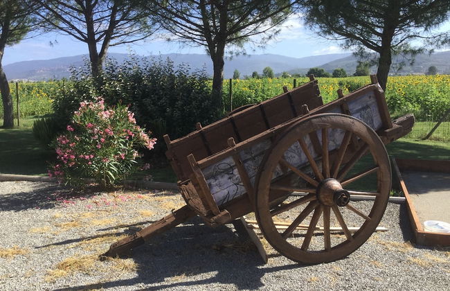 Agriturismo Terra di Cortona - Foto 42